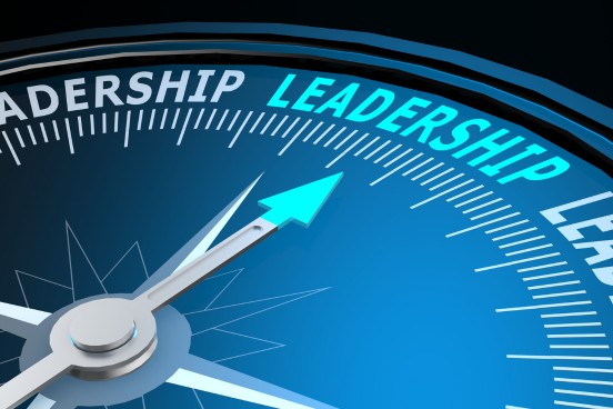 Read more about the article Leadership Agility in a VUCA World